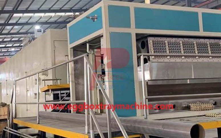 Ukraine client 4000 pieces per hour automatic egg tray making machine finish shipment