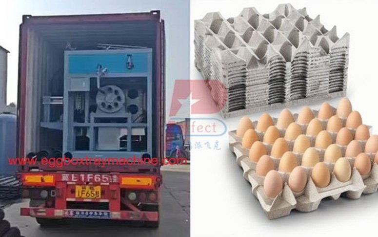 6000 pieces per hour automatic egg hold tray making machine finished shipment to UAE