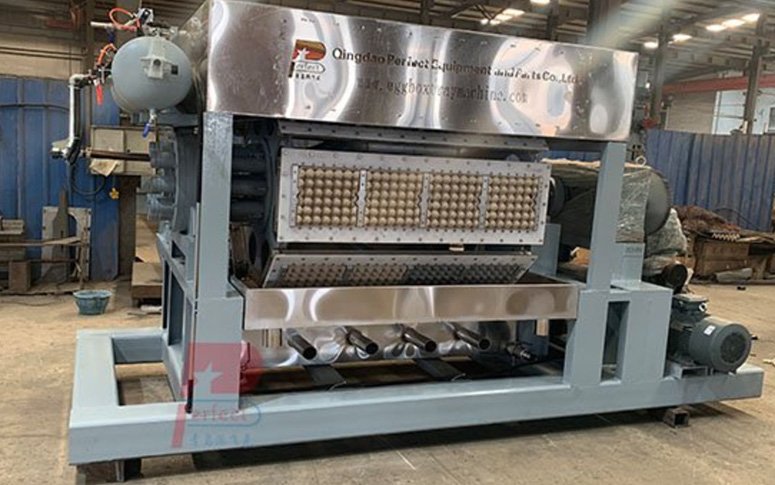 4-8 automatic egg box tray forming machine shipped to Yemen