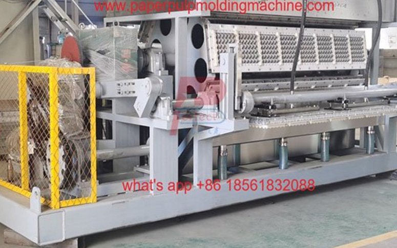 New designed 8-8 automatic egg tray making machine with metal dryer shipped to Philippine