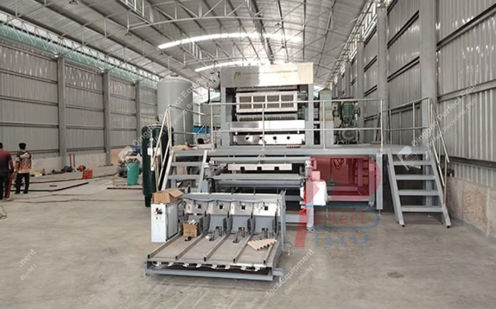 Egg Tray Machine Thailand