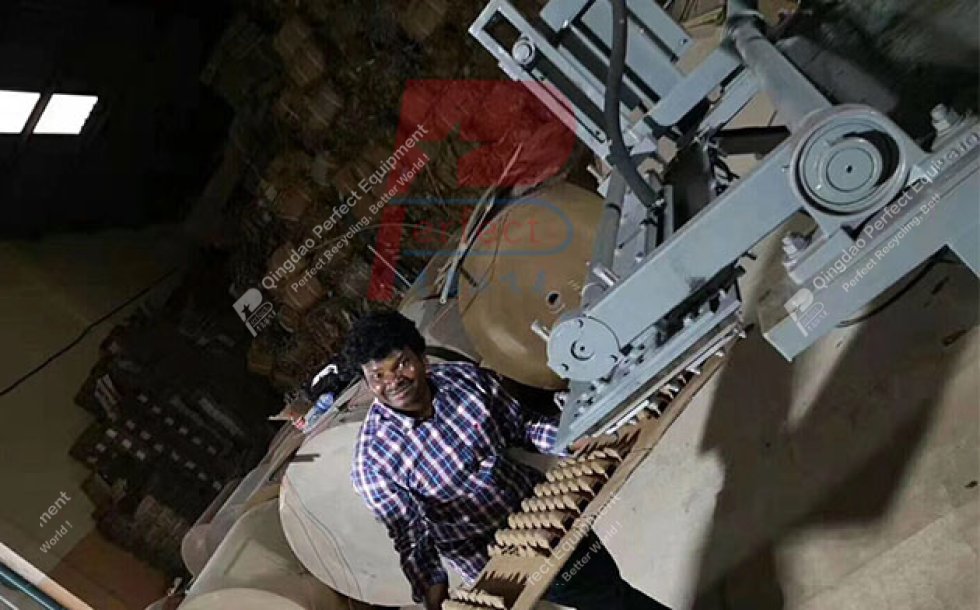 Small Egg Tray Machine India