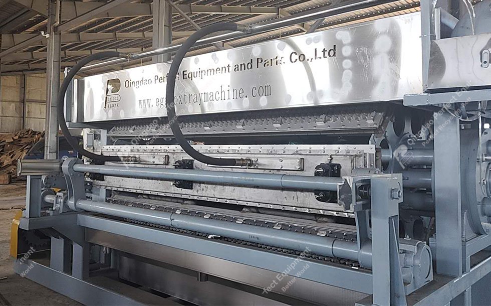 Egg Tray Production Line Indonesia