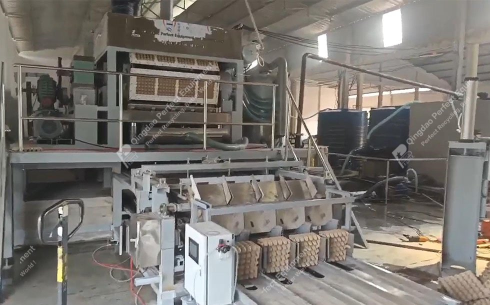 Egg Tray Molding Machine Vietnam