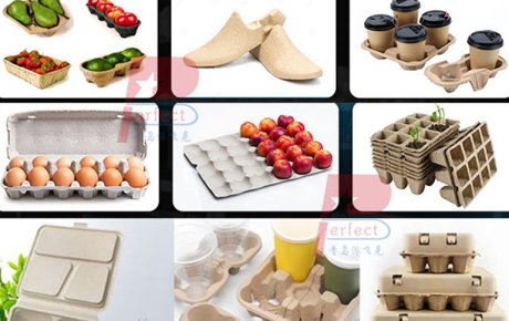 Turning Waste paper into Money A Promising Project for the Production of Renewable Eco-friendly Packaging