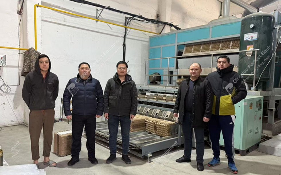 Egg Carton Box Machine in Ukraine