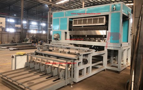 What factors should clients from South American countries consider when purchasing pulp egg tray production machines?