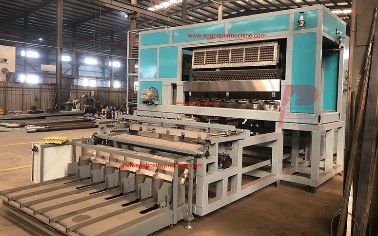 What factors should clients from South American countries consider when purchasing pulp egg tray production machines?