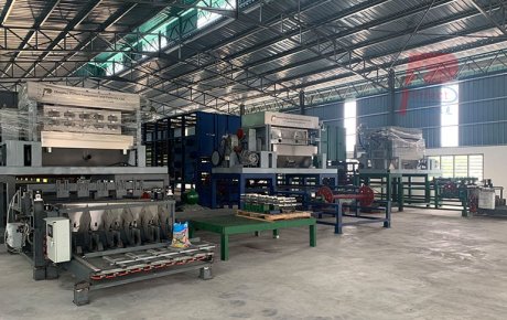 How Southeast Asian Customers Choose Egg Tray Machines and Industrial Packaging Molding Machines?