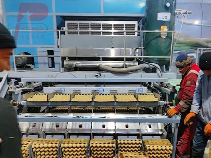 High Output Egg Tray Making Machine Fully Auto
