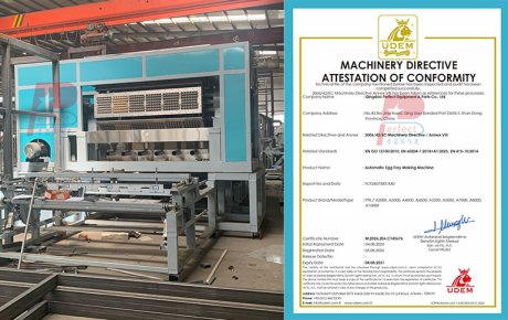 Popular in EU CE certified automatic egg tray making machine
