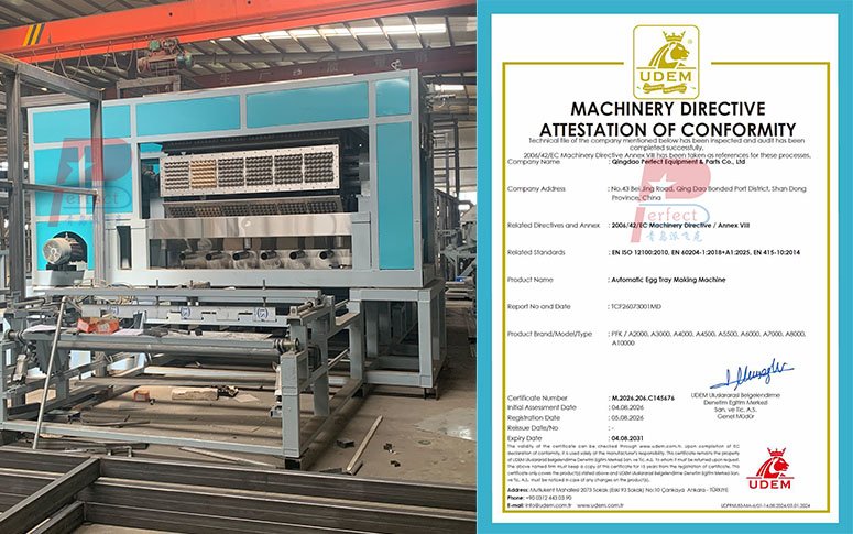 Popular in EU CE certified automatic egg tray making machine