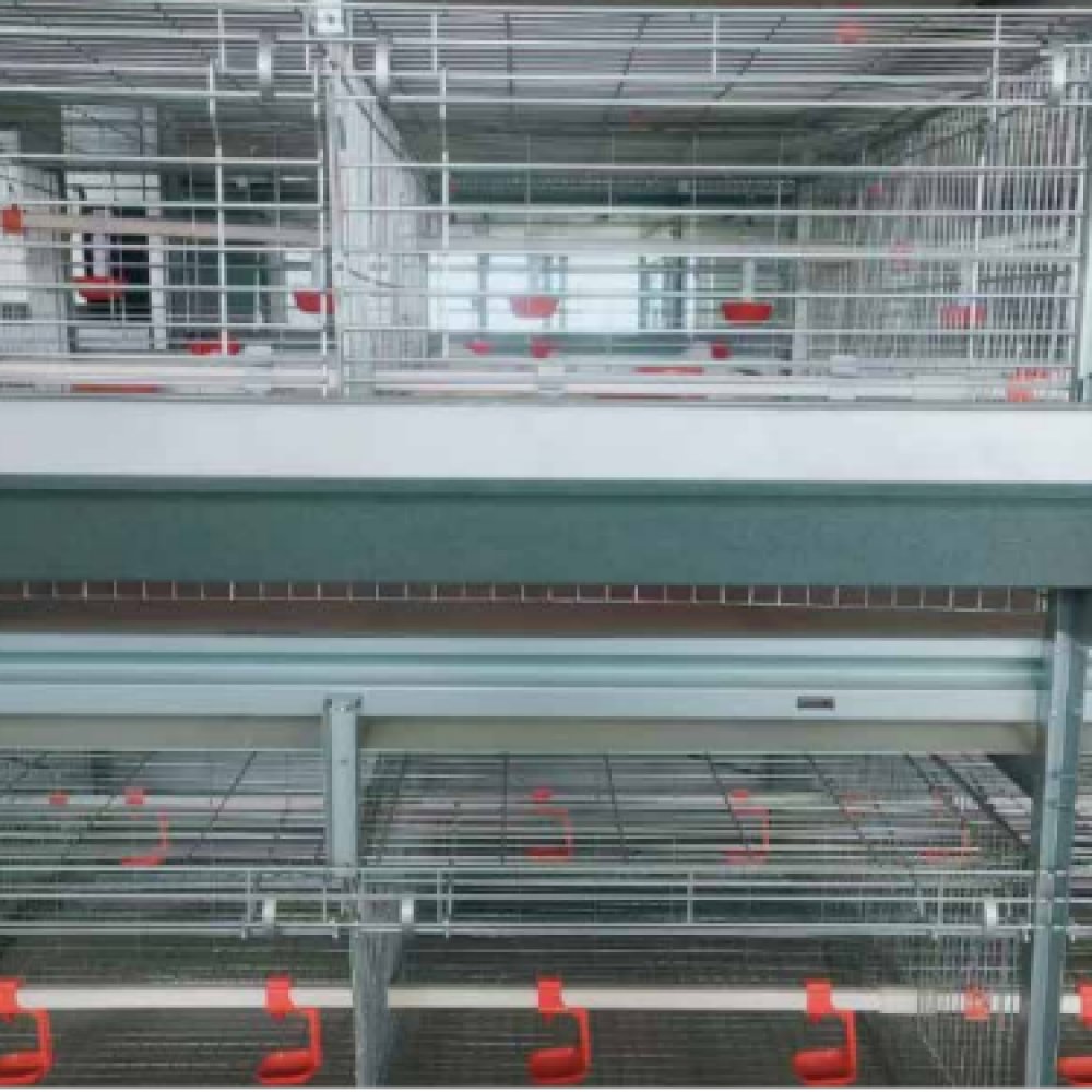 微信图片_20251028115941