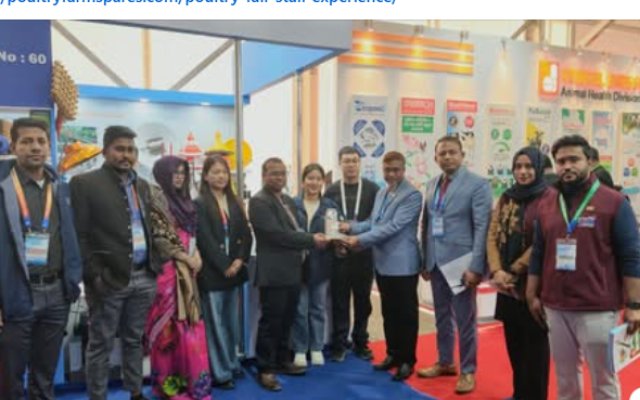 Only honest business operations are the foundation for establishing a foothold.