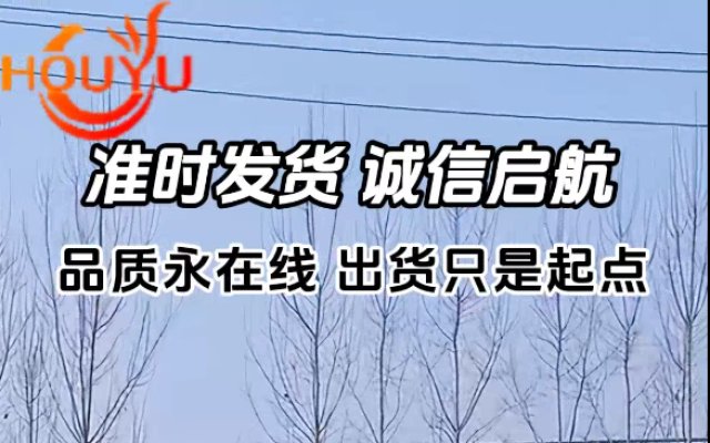 Today's actual shipment photos. 