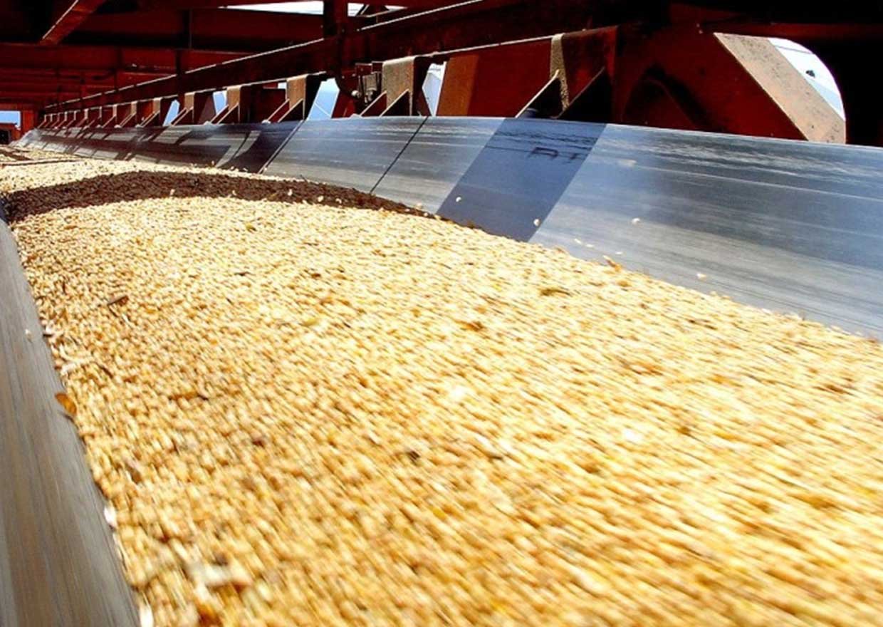 _0099_2023-12-06-07-13-16-OIL-RESISTANT-CONVEYOR-BELT-PHOTO-1