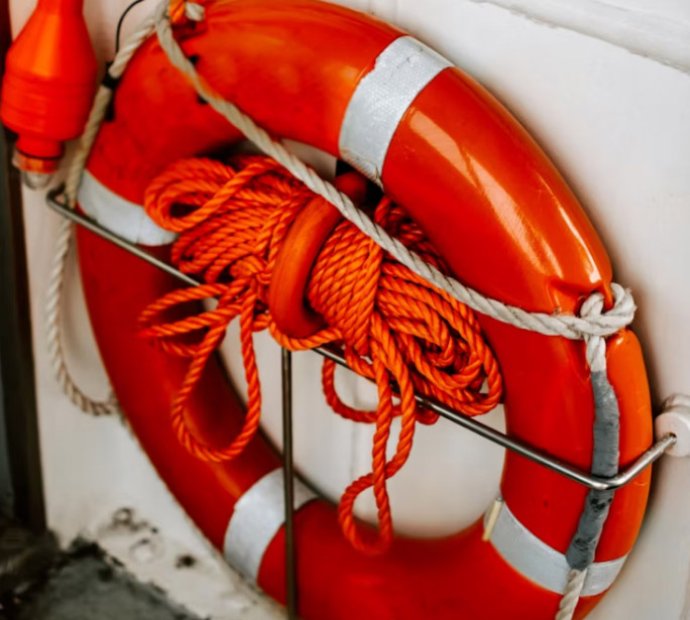 LSA, FFE& UTM Annual & Yearly Service