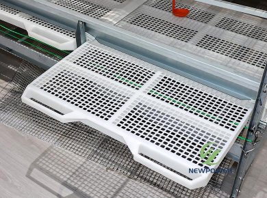 Broiler Floor