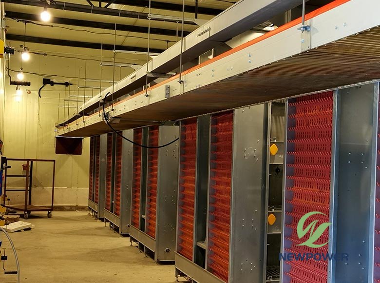 Egg Collection System