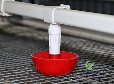 _0086_开饮杯