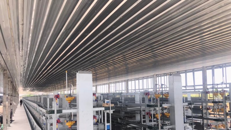 The project of Qingdao Newpowz Animal Husbandry Technology Co., Ltd. in Thailand has been fully completed. Please follow us to view the on-site photos.