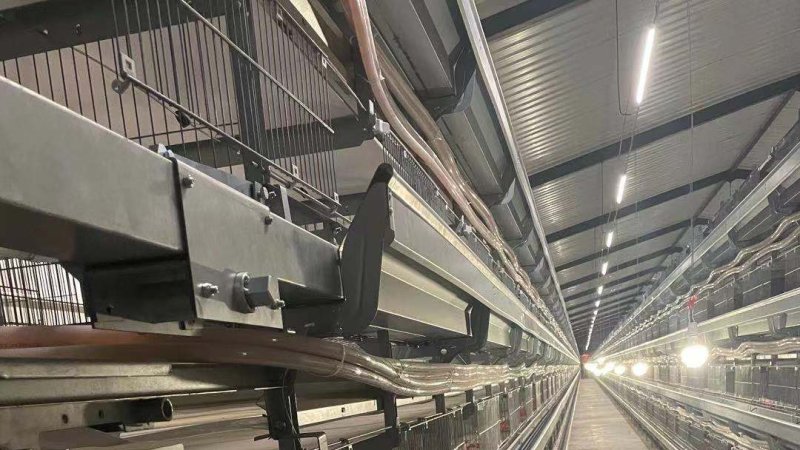 Brooder equipment installation completed in Xinjiang