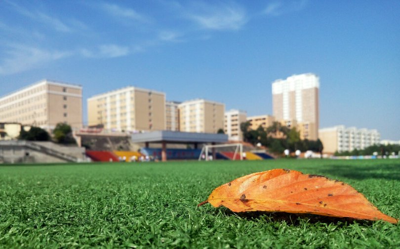 Environmental Solutions