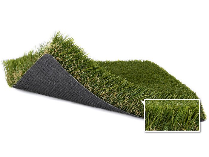 Yard Large Dog Running Turf