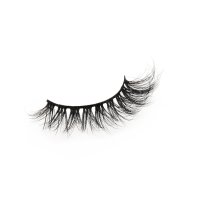 volume cat eyelashes strip