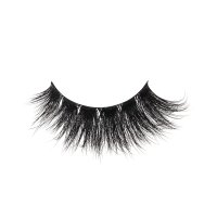 mega volume lash strips