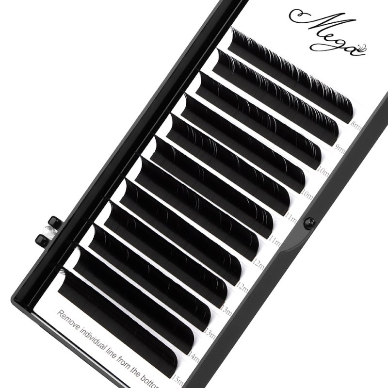 m curl classic lash trays