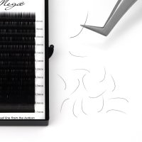 L curl classic lash extensions