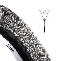 narrow fan 4D W lashes