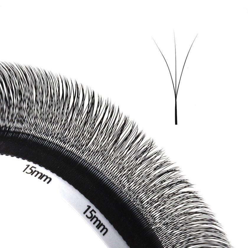 Narrow Fans 3D W Lashes
