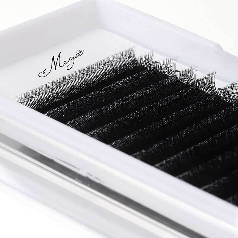 narrow fan 5D W lash extension 