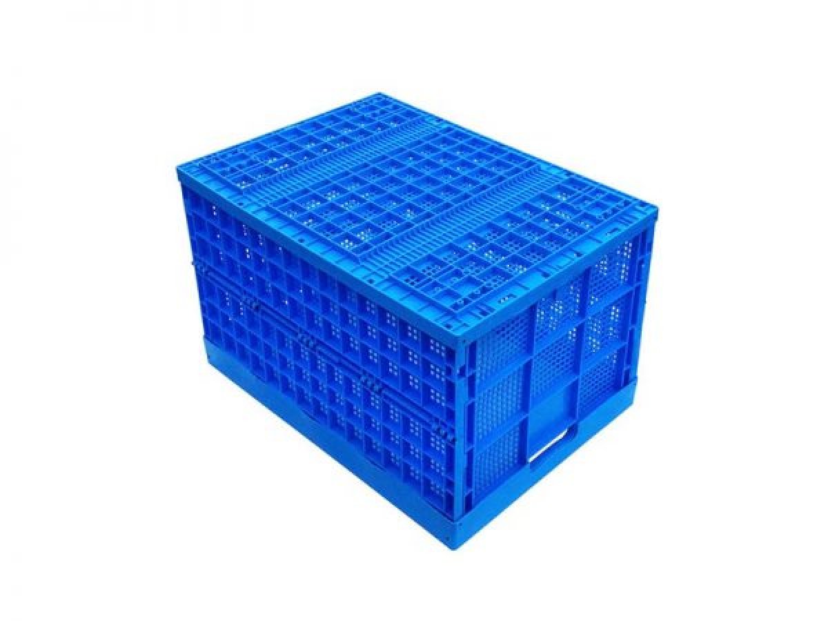 Folding Mesh Containers LW805850 (679)