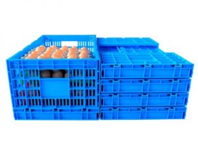 Folding Mesh Containers PKM-6333257 (683)