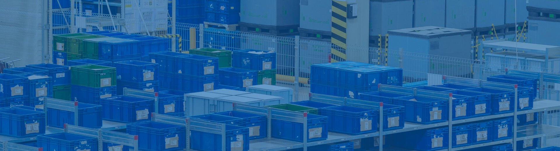 Contacta con nosotros