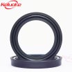 Low-Temperature-Symmetric-Rod-Seal-Carlock