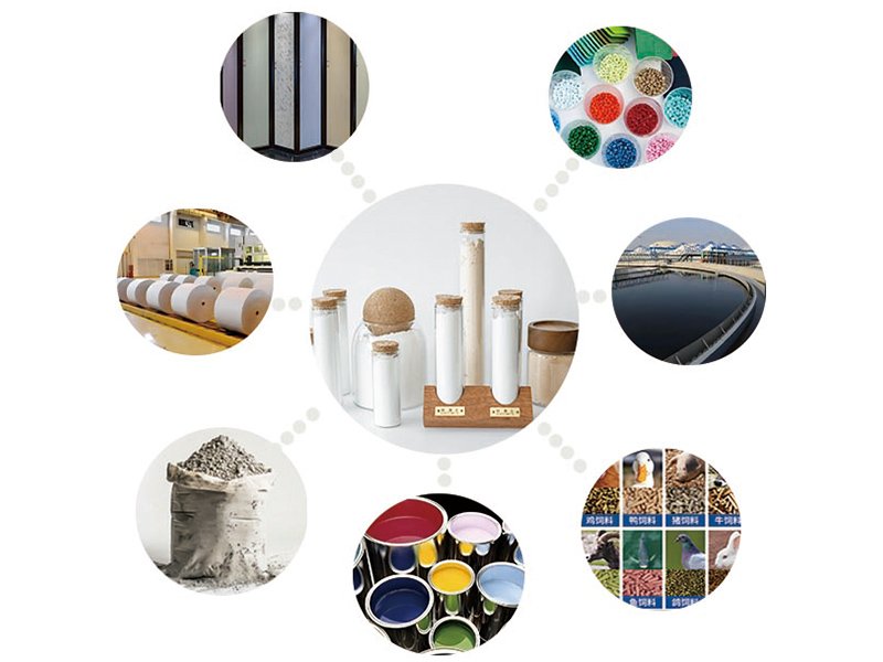 The application advantages of diatomaceous earth in industrial fillers