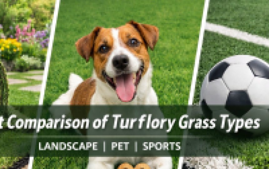 2c319f9e-d77f-419e-a67b-f349f52d2991_9e037e1b_icon