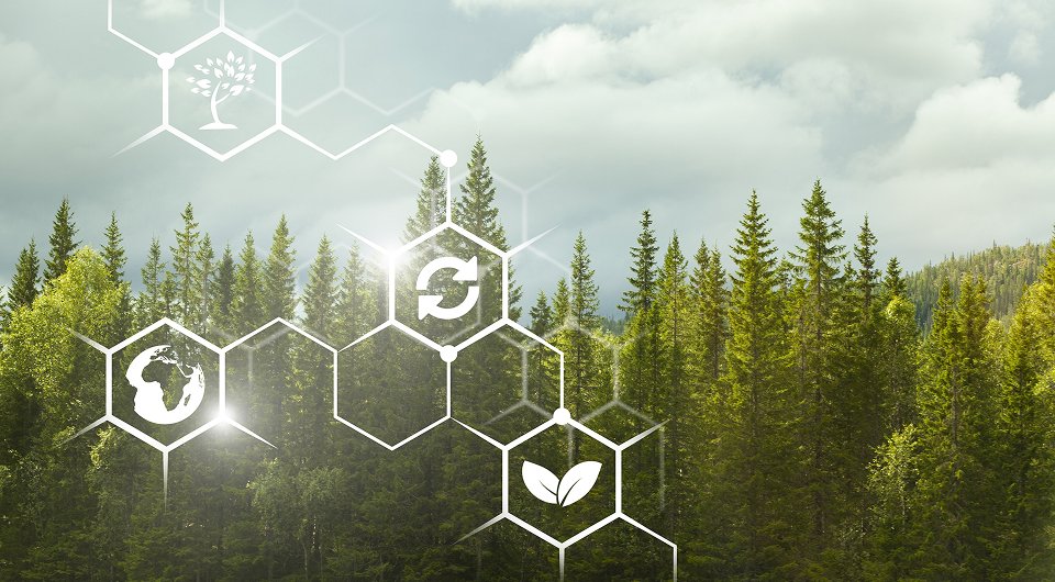 Compromiso de sostenibilidad