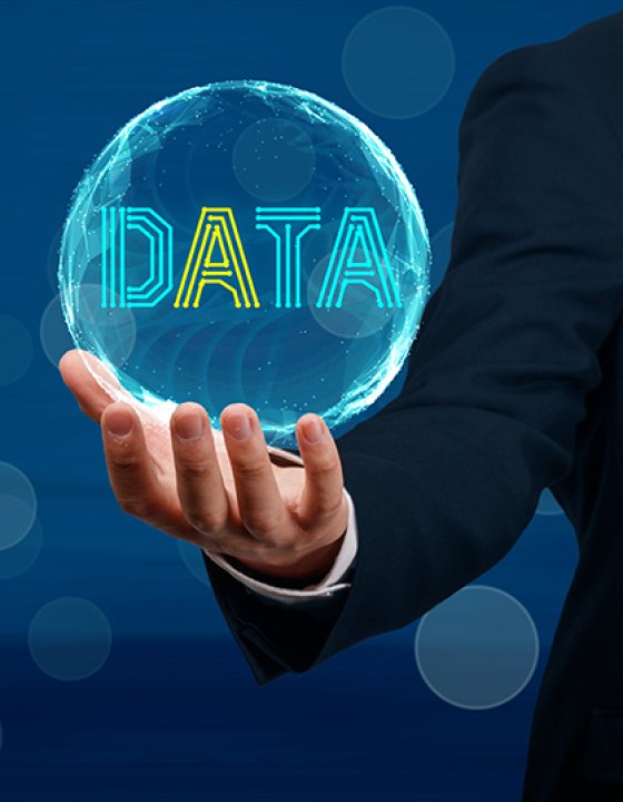 Empoderamiento de datos