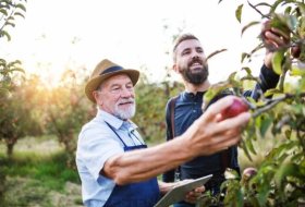 Organic Agriculture: From Niche to Necessity