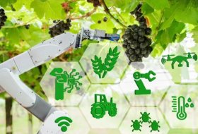 Addressing Climate Challenges: Innovation Solutions for Agricultural Advancement in Resource-Limited Regions