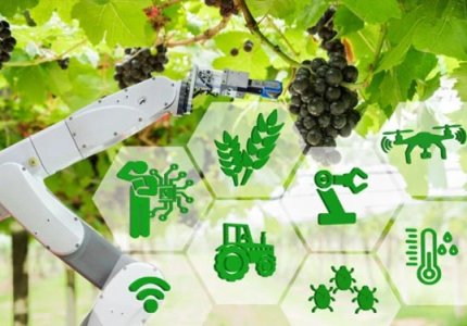 Addressing Climate Challenges: Innovation Solutions for Agricultural Advancement in Resource-Limited Regions