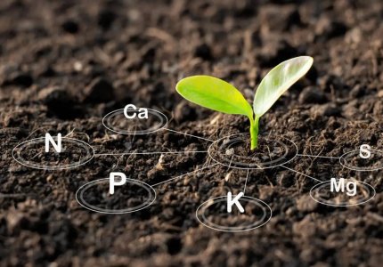 Why Is Soil Improvement So Important? Simple Tips to Boost Plant Growth!