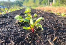 Efficient Water Conservation in Organic Agriculture: Integrating Smart Irrigation with Soil Moisture Retention Gels