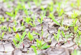 Water Retaining Agents Enhance Efficient Water Utilization and Sustainable Agriculture