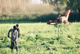 Water Retention Agent Assists in the Efficient Utilization of Agricultural Water Resources